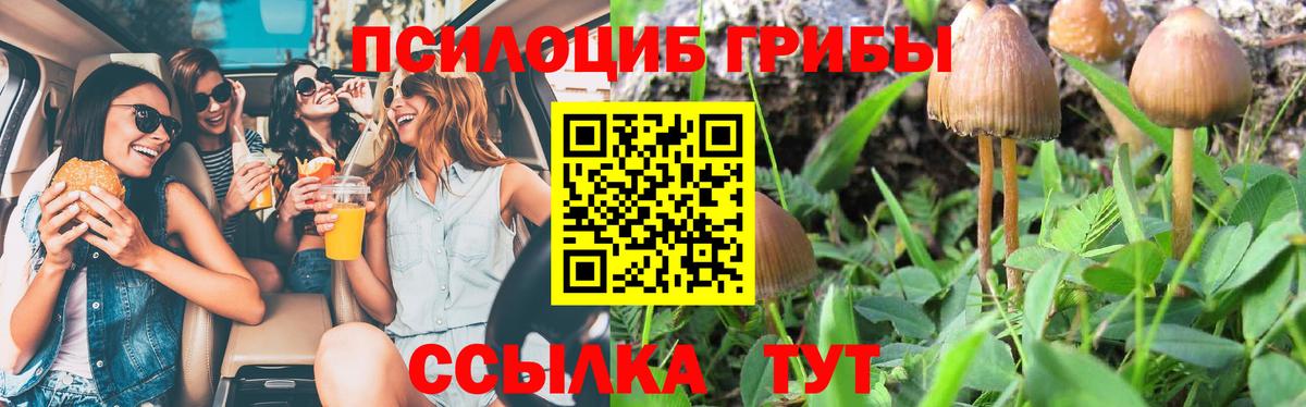 Галлюциногенные грибы Cubensis  Вход с VPN  купить наркотик  Ржев 